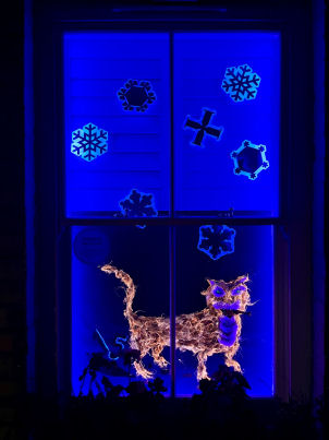 2025 Gwydir St festive window